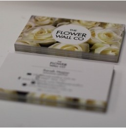 Branding & Design - Branding & Design -